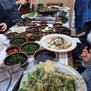 녹색흑염소 이미지