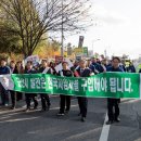 지엠투어 이미지