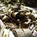 새순약국 이미지