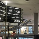 엠오바이오 이미지