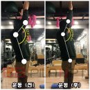 비비필라앤피티 이미지