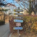 정발산공원 이미지