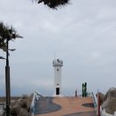 대진항 대게공원 이미지