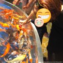 비단그미 | 롯데월드 아쿠아리움 feat. 조카보다 신난 요니찡