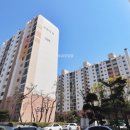 국화우성 이미지