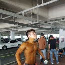 머슬블라썸 이미지