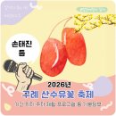 산수평여마을회관 | 2026 구례 산수유꽃 축제 위치 주차 셔틀 손태진 등 기본정보
