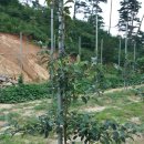 솔봉농장 이미지