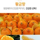황금향 이미지