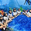 🐬영어 스페셜데이-해녀 체험🐬 이미지