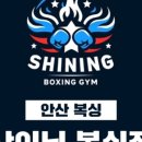 샤이닝복싱짐