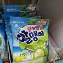 [나홀로까까탐험] New! 2025 한정판 코코멜론 알맹이 젤리 🍈🍈💚