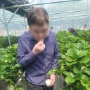 송영농장 이미지