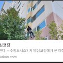 비온후 베란다 천장, 샤시 물새서 외부코킹으로 해결한 후기(빗물 누수 처리 과정)