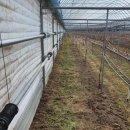 진일농장 이미지