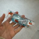 한올 홍대점 | [한올 홍대점] ㄹㅇ닉값 제대로; 쌤이 마지막 한올까지 잡아내쉼_홍대왁싱맛집 추천