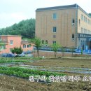 비소(조)-일-3 네이버블로그