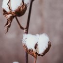 하나크린세탁 이미지