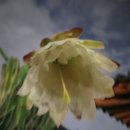 석주농장 이미지