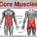 H코어운동센터 이미지