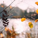 행복한사슴농장 이미지