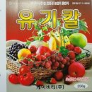 비티앤마