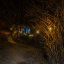 숲속통나무펜션 이미지