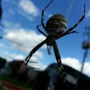 도경농장 이미지