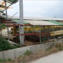 정선축사 이미지