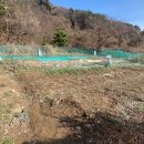 거제중앙로10길 네이버블로그