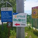 문막농협하나로마트(부론점) 네이버블로그