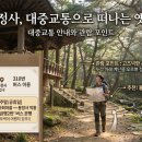 세계유산코스 티스토리