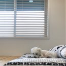 서쪽강생이 이미지