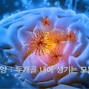 뇌종양/교모세포종 환자의 5년 완치 판정을 받았다는 반가운 소식을 접하며 이미지