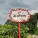수석 | 김포 오리고기 맛집 주차 걱정 없는 수석오리 솔직후기