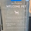 서울역 수제버거 맛집 바스버거 반려동물 동반 가능