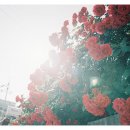뒤죽박죽 이미지