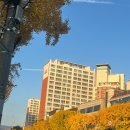 팔공목욕탕 | 사무치게 그립다는 말의 무게