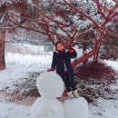 은행나무펜션 이미지