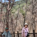 구룡사 Daum카페