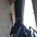 해가빛 민박 이미지