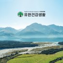 소망양행 이미지