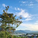 설향이야기 이미지