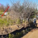 소로3-280 이미지