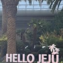 평대리 943 Tu Casa 이미지