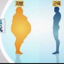 피티솔루션 이미지