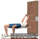 피트니스 밴드 안티-그래비티 컬 (Fitness Band Anti-Gravity Curls) 이미지