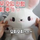 버터솜