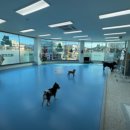 맛객미식쇼 이미지