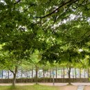 윤석열,조희대,한덕수를 연결짓는 인물 서석호!! 이중근 회장과 한눈에 파악되는 서석호의 인맥도 이미지